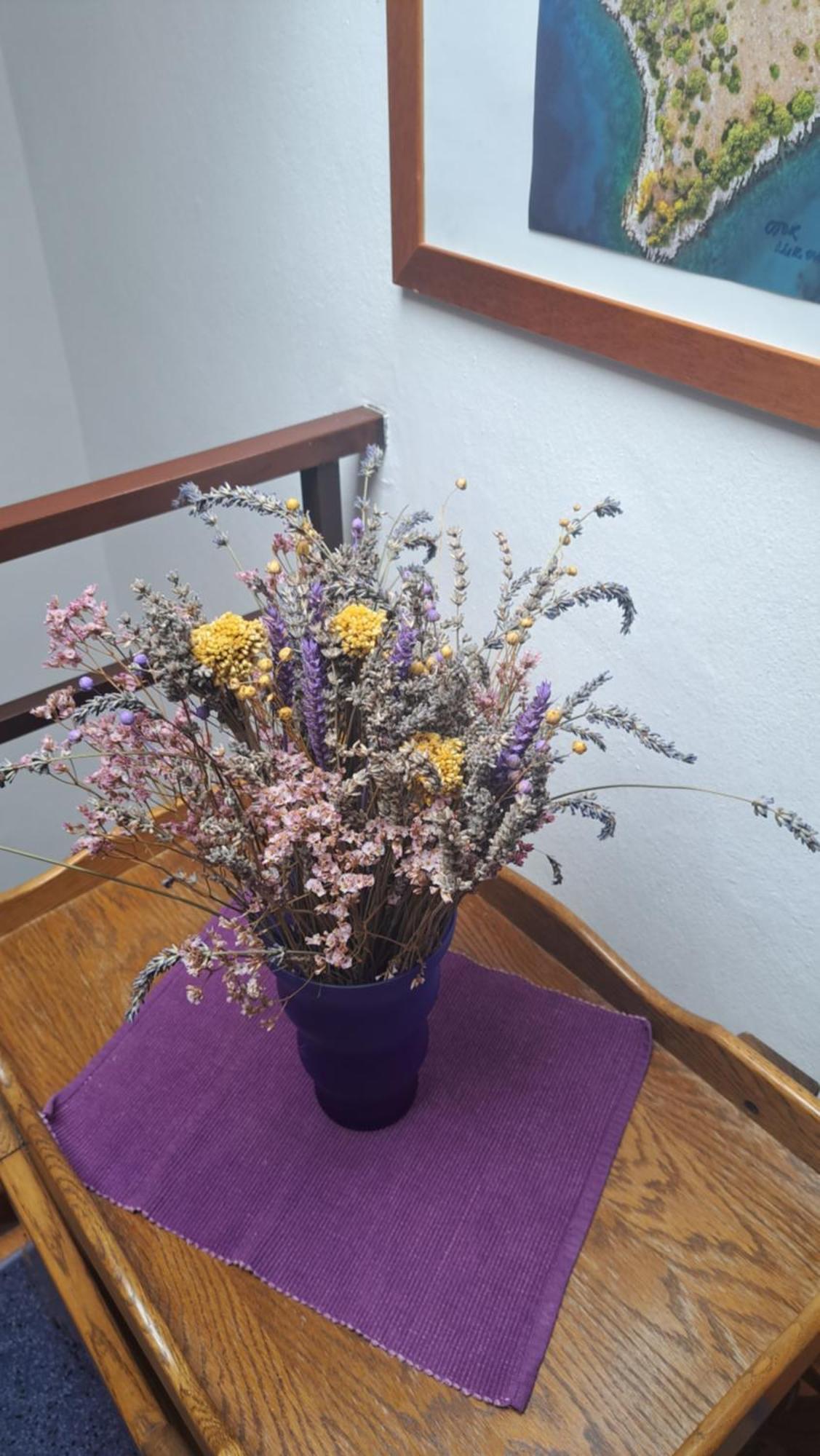 Apartmani Donna Пореч Екстер'єр фото